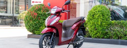 Vision Quốc Dân, Vizionese Chính Hiệu